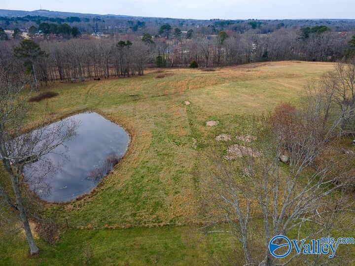 Property Photo:  766A Coosa Road  AL 35956 