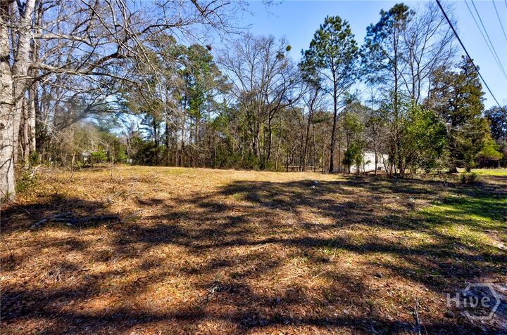 Property Photo: 0 Magnolia Street GA 31312