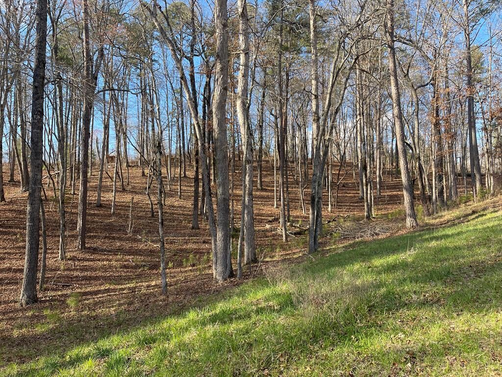 Property Photo:  Lot# 208 Pinnacle Drive  GA 30540 