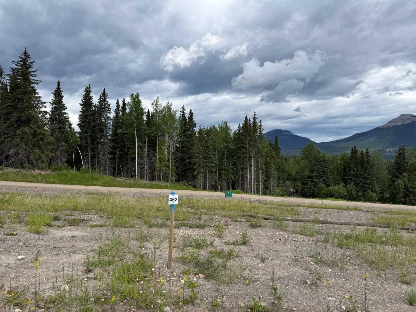 Property Photo: 452 Lily Avenue AB T0M 2H0