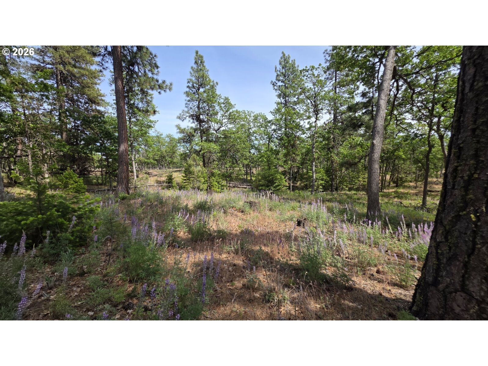 Property Photo:  Juniper Lot 119  WA 98620 
