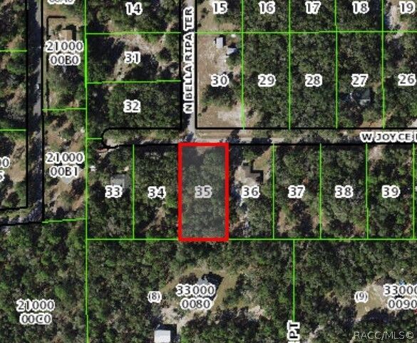 Property Photo:  8934 Joyce Lane  FL 34428 