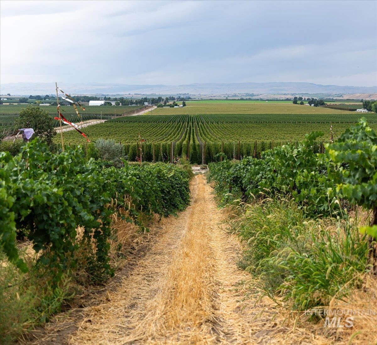 Property Photo:  24013 Arena Valley Rd  ID 83660 