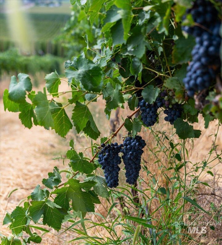 Property Photo: 24013 Arena Valley Rd ID 83660