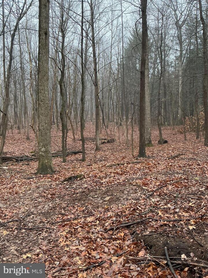 Property Photo:  Lot Indian Peg Road  PA 17007 