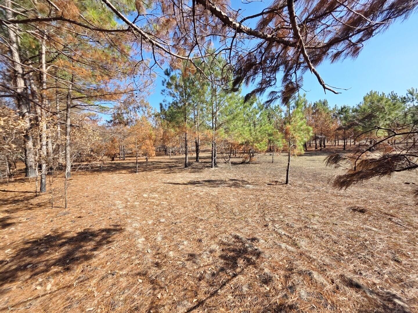 Property Photo:  5 Pompey Road  SC 29102 