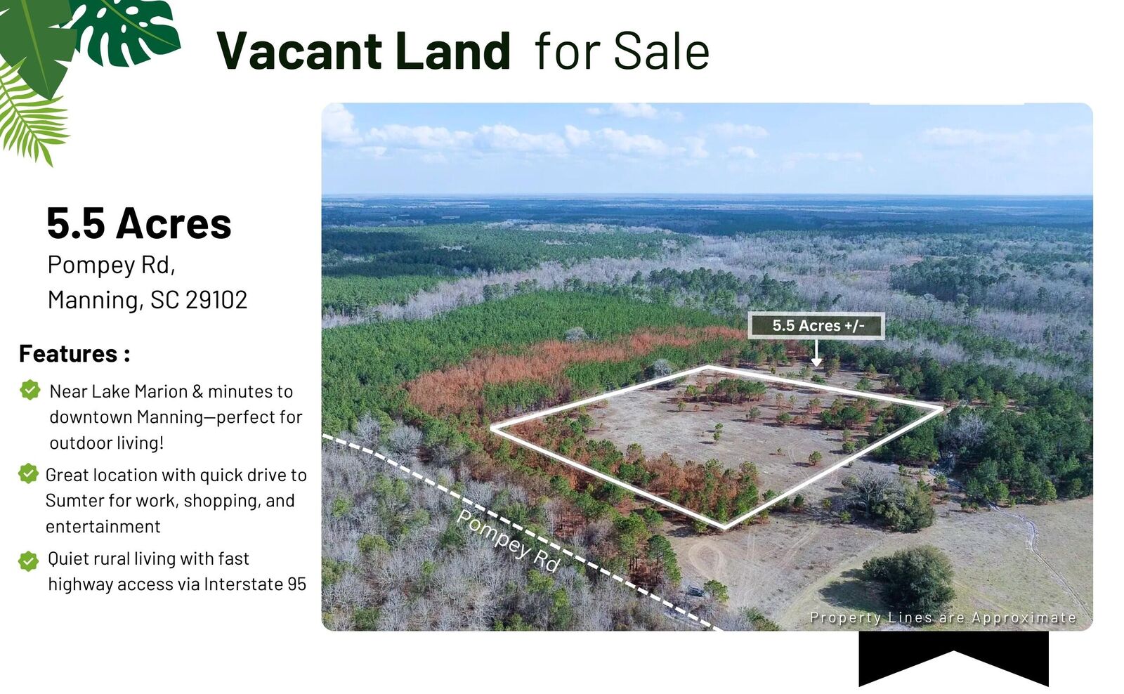 Property Photo:  5 Pompey Road  SC 29102 