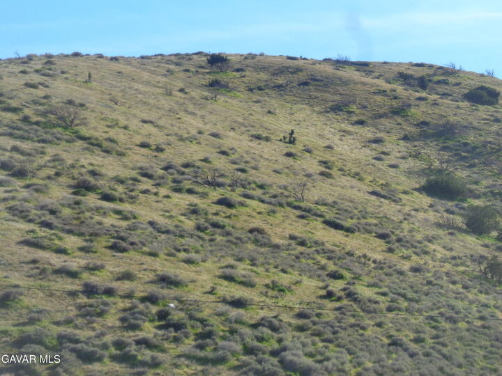 Property Photo:  1800 Richter Lane  CA 93550 