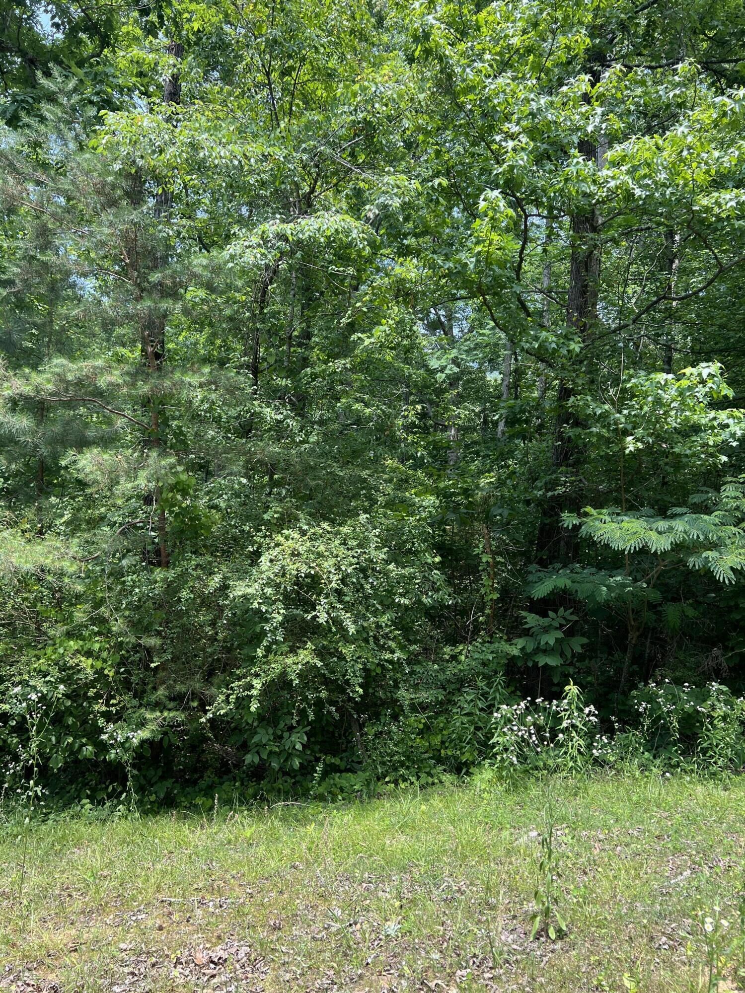 Property Photo:  7511 Rocky Ledge Road  TN 37343 