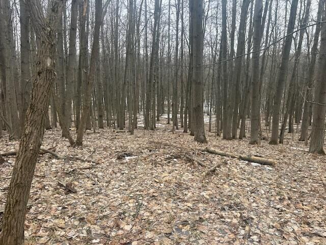 Property Photo:  9735 Pere Marquette Drive  MI 49346 