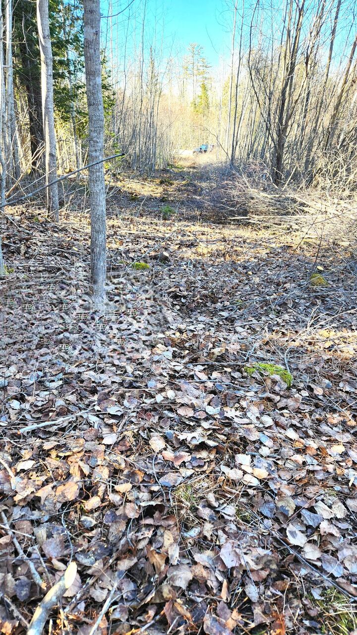 Property Photo: 10 Bowling Green Lane ME 04915