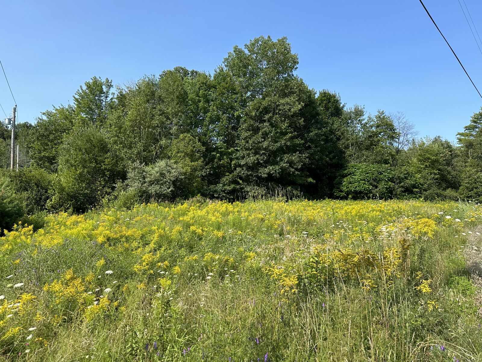 Property Photo:  1 Bowling Green Lane  ME 04915 