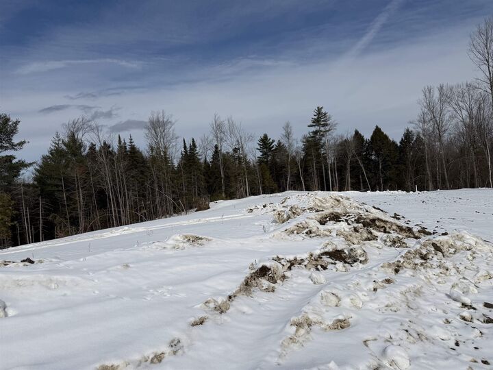 Property Photo:  452 Elizabeths Lane  VT 05661 