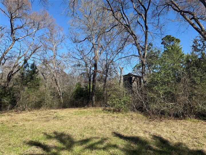 Property Photo:  Tbd Cr  1755  TX 75844 
