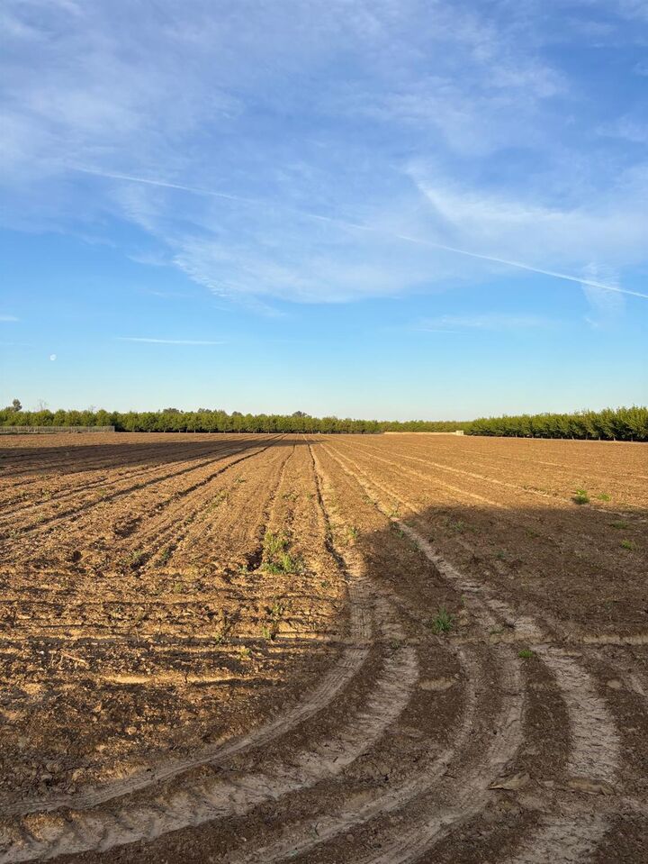 Property Photo:  9449 S McCall Avenue  CA 93662 