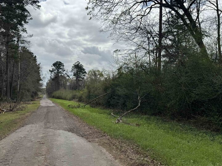 Property Photo:  1223 County Road 433  TX 75974 