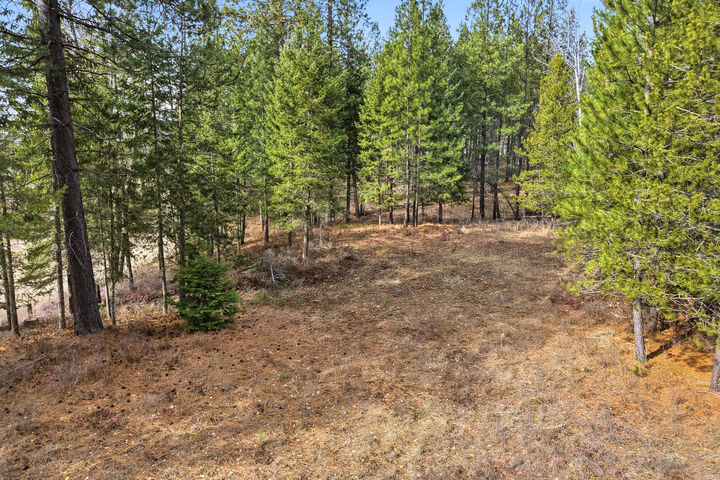 Property Photo:  2845 Burnt Valley (18.5ac) Rd  WA 99109 
