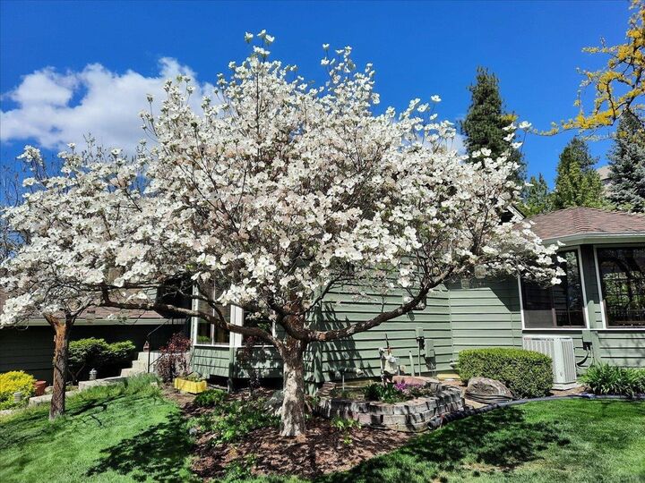 Property Photo:  10120 N Seminole Dr  WA 99208 