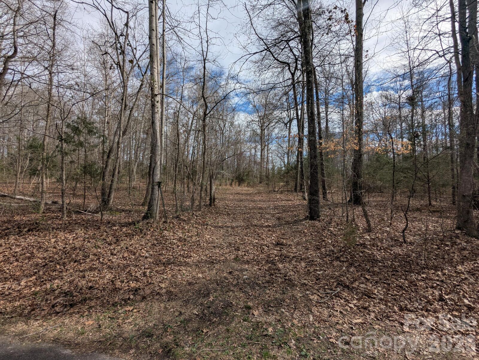 Property Photo:  5.66 Acres Diane Road  SC 29745 