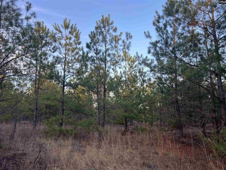 Property Photo: Kelly Day SC 29054