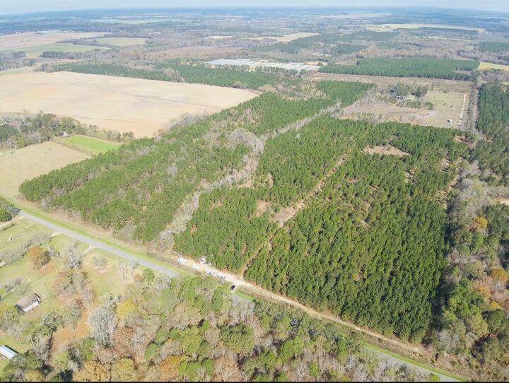 Property Photo: 0 Holly Lane GA 31071