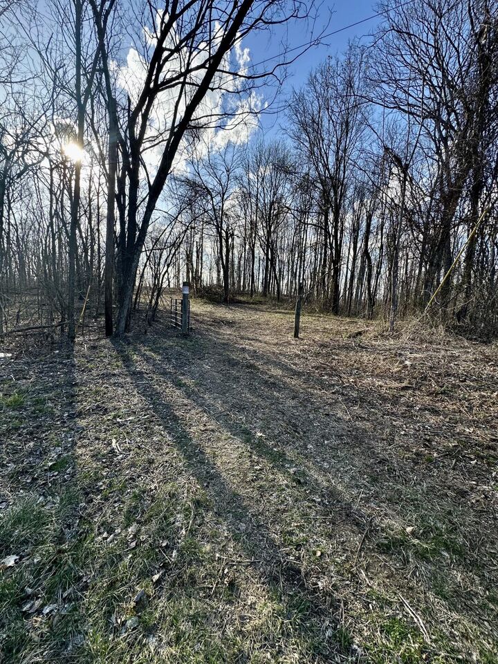 Property Photo:  4 Malone Ridge Road 4  KY 42602 