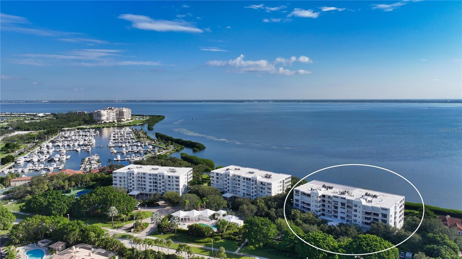 Property Photo:  2410 Harbourside Drive 142  FL 34228 