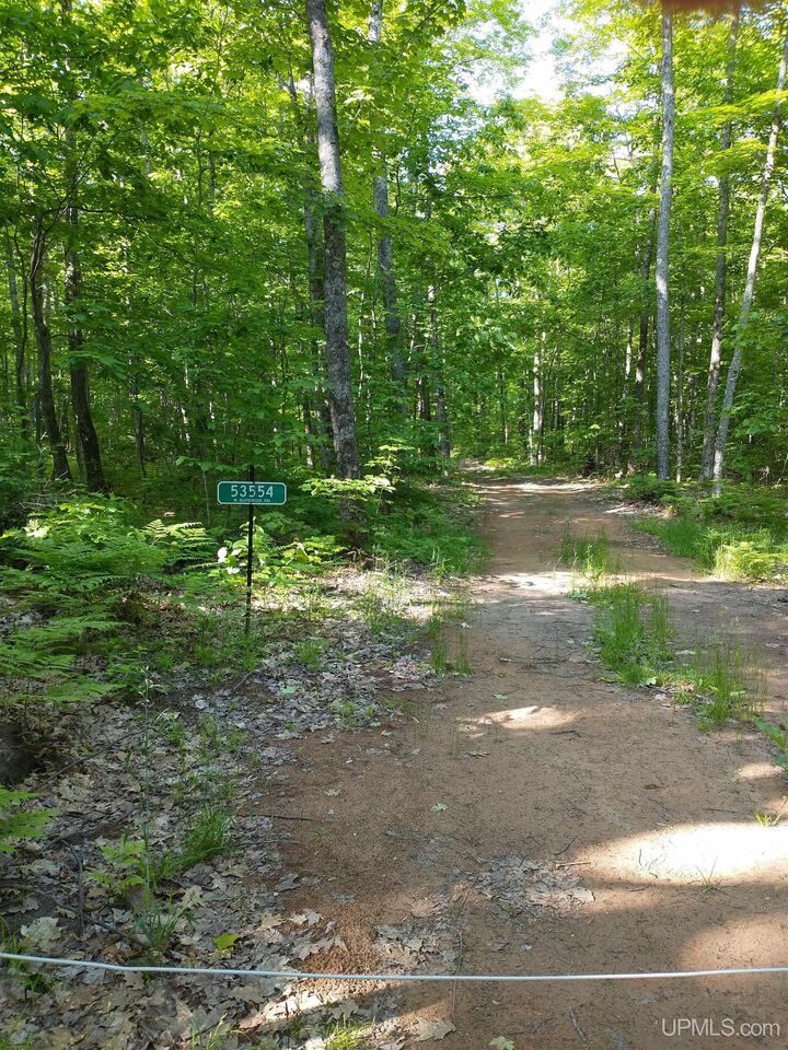 Property Photo: 53554 N N Superior Road MI 49931