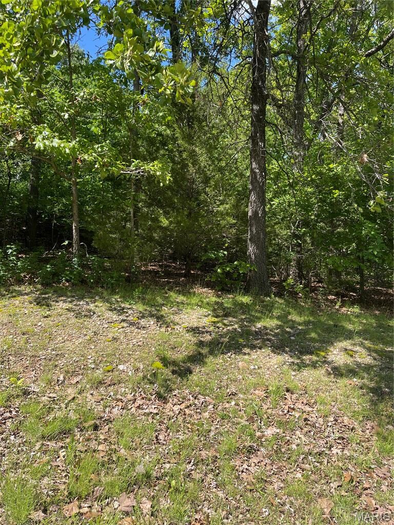 Property Photo:  000 Plaza Lane  MO 65536 
