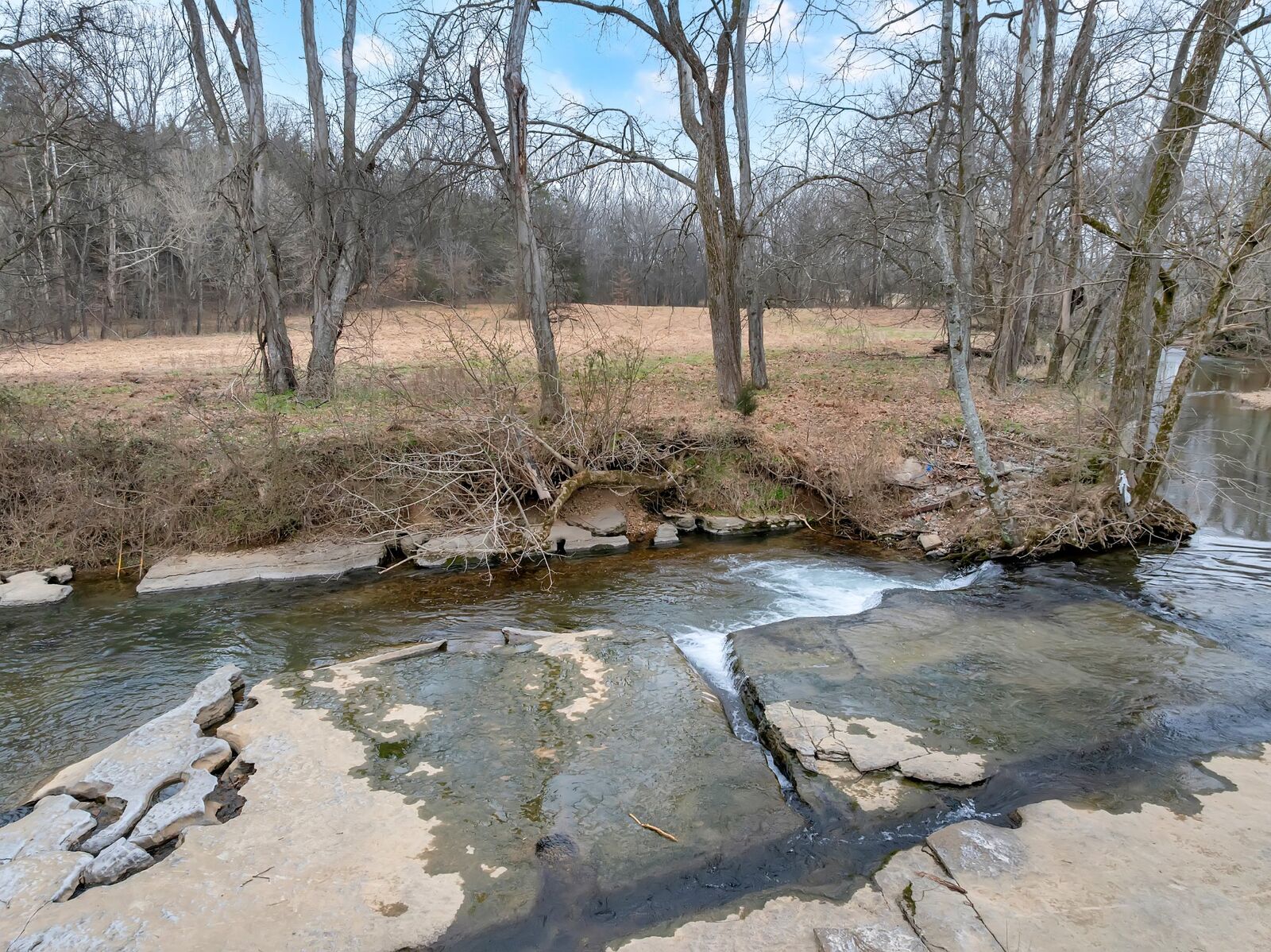 Property Photo: 0 Clyde Gleaves Rd TN 37183