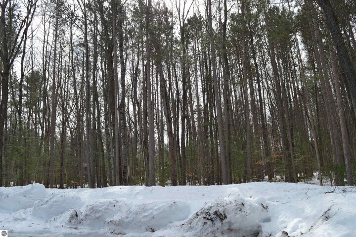 Property Photo: 773 Golf Side Drive MI 49646