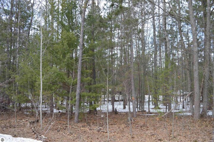 Property Photo:  1971 Bunker Drive  MI 49646 