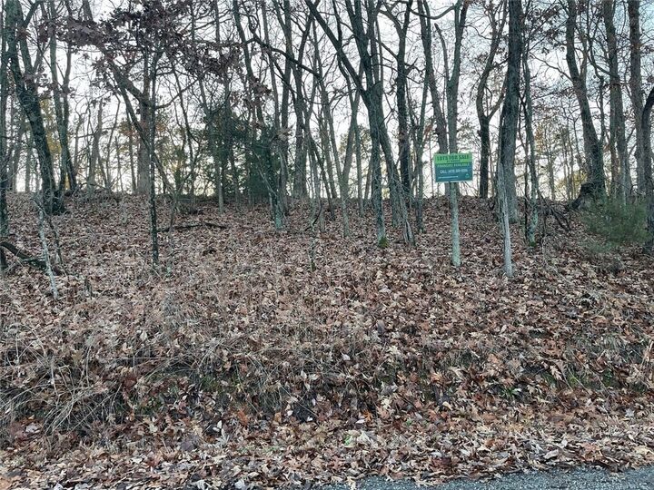 Property Photo:  31 Burkimo Lane  AR 72631 