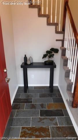 Property Photo:  56157 Chesapeake Trail 254  MI 48316 