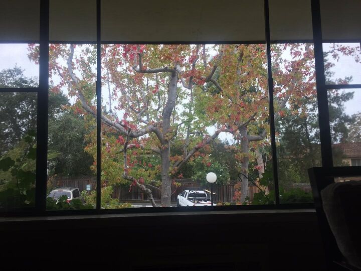 Property Photo:  2140 Santa Cruz Avenue A201  CA 94025 