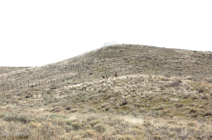 Property Photo:  Nka N Wenas Rd  WA 98942 