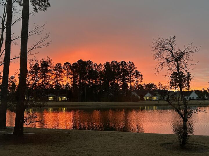 Property Photo:  546 Marsh Cove Circle  SC 29486 