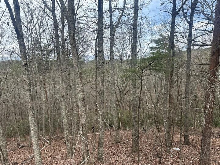 Property Photo: 0 Mulberry Court GA 30143