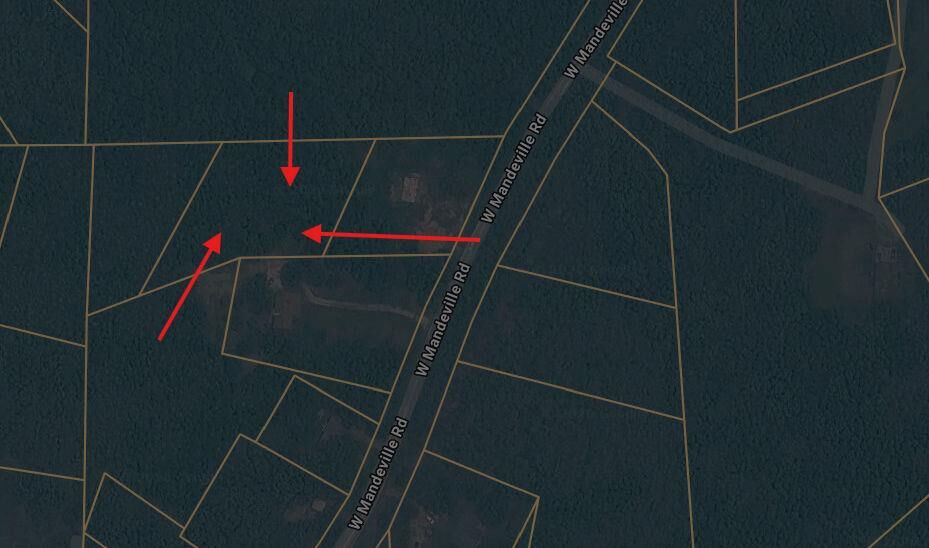 Property Photo:  0 West Mandeville Road  GA 30117 