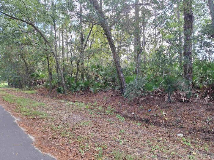 Property Photo:  201 Pineway West Ave  FL 32189 