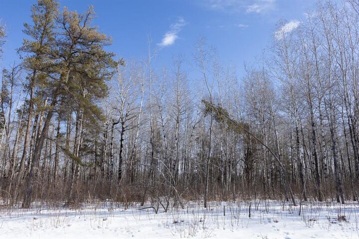 Photo de la propriété:  34 Jackpine Crescent  MB R0A 2N0 