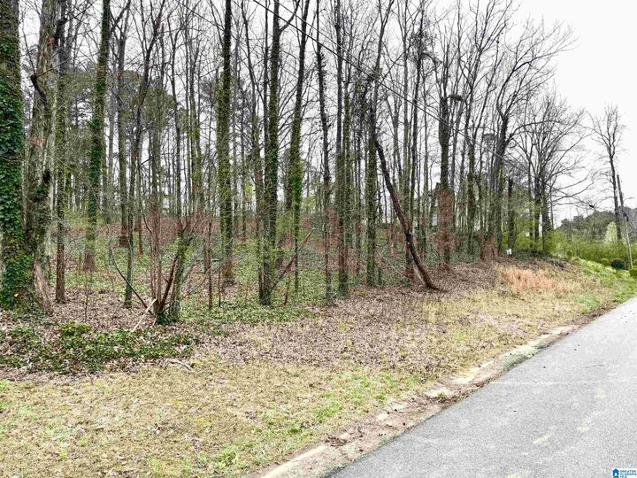 Property Photo:  2615 3rd Street 27  AL 35215 