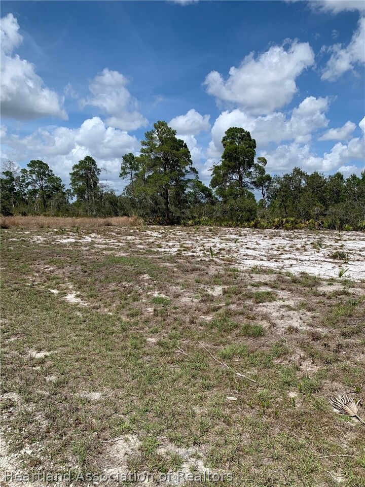 Property Photo:  1249 Popinjay Avenue  FL 33852 
