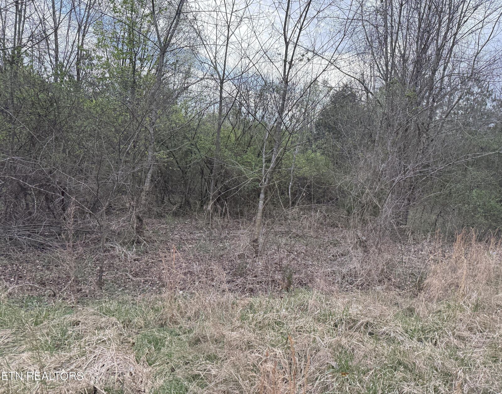 Property Photo:  145 Foxwood Drive Lot 6  TN 37763 