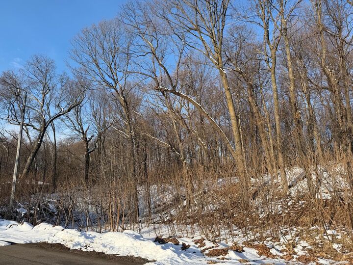 Property Photo:  Lots 119 Earle Brown Drive  MN 56450 