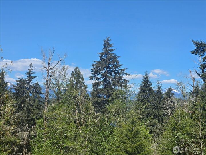 Property Photo:  235 E Heights Place N  WA 98528 