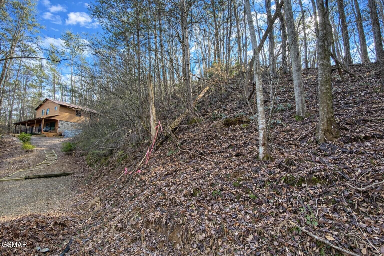Property Photo:  - Cole Lane Off  TN 37738 