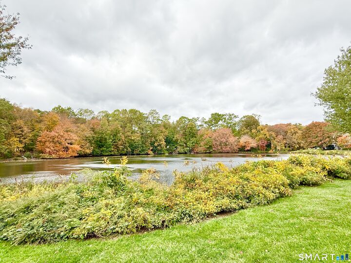 Property Photo:  129 Rowayton Woods Drive 129  CT 06854 