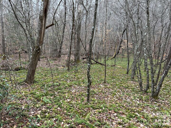 Property Photo: 5291 Vista Lane NC 28655