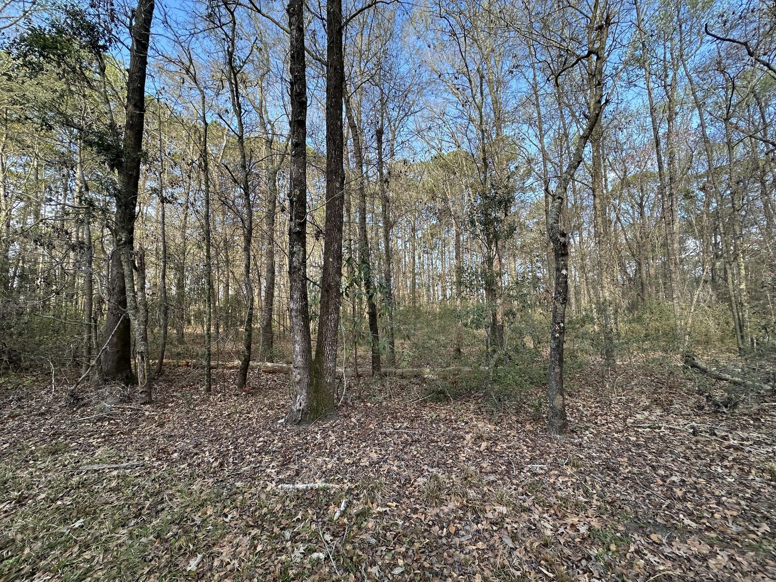 Property Photo: 0 Cooke Road Lot 3 SC 29455